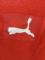 PORTUGAL HOME RONALDO 7  ( PALYER VERSION LOGOS)